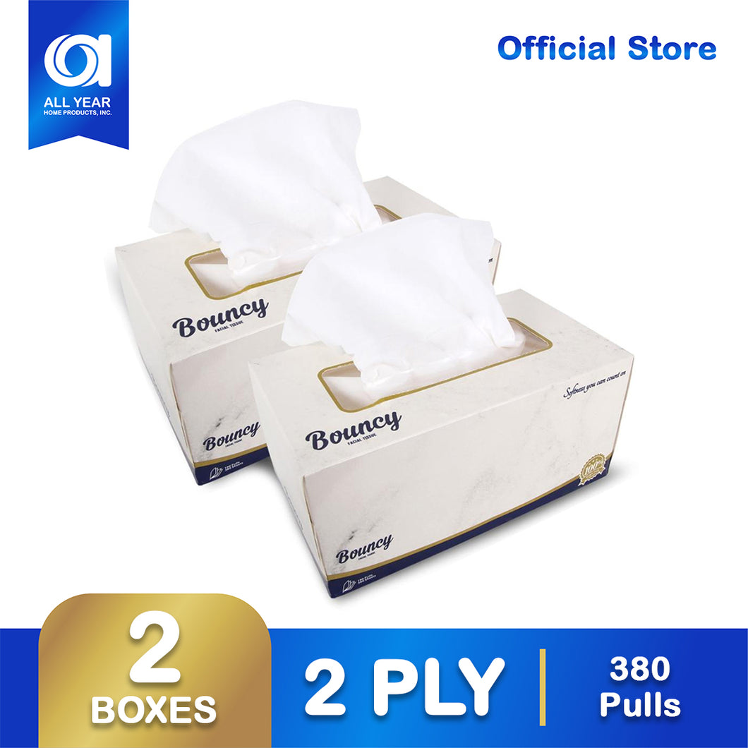 Bouncy Facial Tissue Box 2 ply 190 pulls x 2 boxes