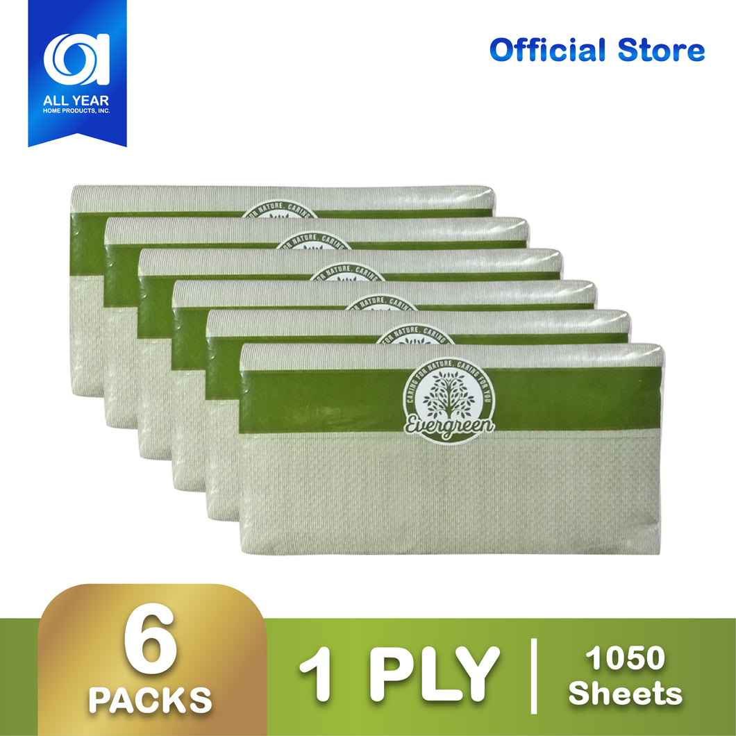 Evergreen Paper Towel 1 Ply 175 Pulls x 6 Packs